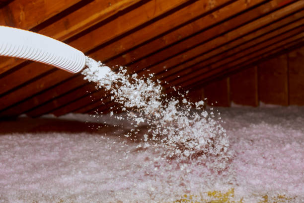 Best Cellulose Insulation  in De Pue, IL