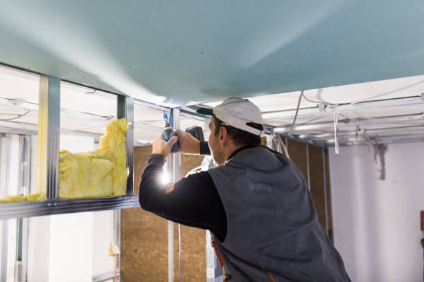 Best Crawl Space Insulation  in De Pue, IL