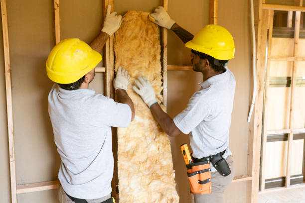 Best Wall Insulation Contractor  in De Pue, IL