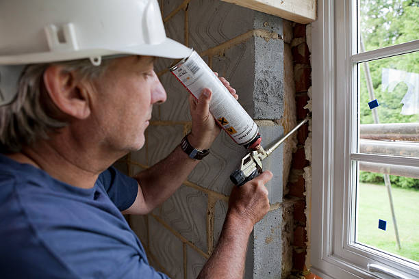 Best Insulation Contractors for Homes  in De Pue, IL