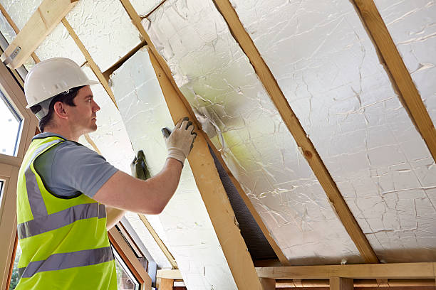Best Insulation Removal  in De Pue, IL